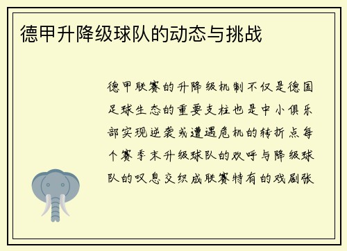 德甲升降级球队的动态与挑战